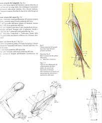 ugurcan kurban adli kullanicinin cok iyi be panosundaki pin dovme fikirleri tattoo dovme