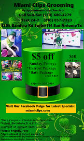 Pet miami clip what can i say, they save my life when traveling for my work or something comes up out of schedule. Miamiclips Com Home Facebook