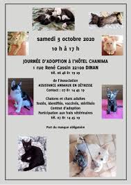 Clinique Veterinaire Anima Veterinarian Dinan 210 Photos Facebook