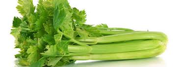 The celery plant will need at least six hours of full sun (or partial sunlight) throughout the day to grow. How To Grow Celery Greenmylife