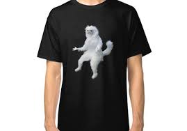 Persian Cat Room Guardian Meme Classic T Shirt By Anyaboz Persian Cat Room Guardian Persian Cat Cat Room