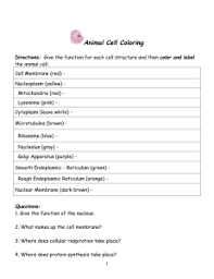 Can you label and color these important parts of the animal cell. Name Animal Cell Coloring Sheet Cell Membrane Ligh Brown