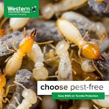 We sell to professional pesticide applicators and landscapers looking to buy in bulk for their companies and directly to homeowners who want to take care of their homes. The Best 10 Pest Control In Tucson Az Last Updated August 2021 Yelp