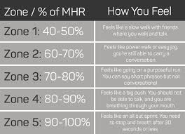 A Complete Guide To Heart Rate Monitoring Get Healthy U Tv