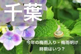 セフレ☆ふれんず セフレ紹介動画 大学生 咲良（さくら） 20歳. åƒè'‰çœŒ é–¢æ±åœ°æ–¹ 2021å¹´ã®æ¢…é›¨å…¥ã‚Šã¨æ¢…é›¨æ˜Žã'å®£è¨€ã¯ã„ã¤ ä¾‹å¹´ã®æ™‚æœŸã‚„å‚¾å'ã‚‚ ã‚¸ã‚§ãƒƒãƒˆã‚¹ãƒªãƒ¼ãƒ'ãƒ¼