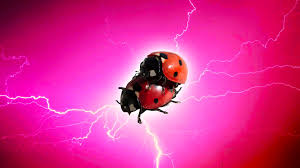 Porno etico: cosè, perché se ne parla tanto e dove guardarlo | GQ Italia