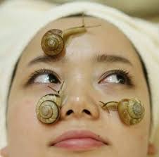 Sayangnya, jerawat yang tidak diberi perawatan dapat menyebabkan kedua jenis luka di atas. Cara Menghilangkan Bekas Jerawat Wa 087855683800 Bbm 5f8ab369 Reviews Facebook