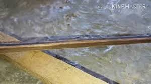 Ukuran sangkar 25 cm x 30 cm dan tinggi sangkar 30 cm tebal bagian bawah. Cara Membuat Sangkar Layang Sederhana Youtube