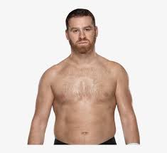 Try to search more transparent images related to sami zayn png |. Iconsami Zayn Sami Zayn United States Champion Png Image Transparent Png Free Download On Seekpng