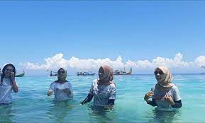 Harga tiket masuk de djawatan banyuwangi rp 5.000 per orang. Antoni Lintau Tiket Masuk Teluk Biru Banyuwangi Flirtingoncampus