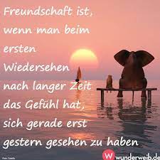 Spruch Des Tages Weisheiten Fur Jede Gelegenheit Schone Spruche Fur Freunde Spruche Weisheiten Spruche