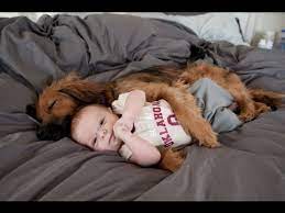 Dog Hugging Cuddling With Cute Baby Youtube