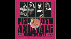 Image result for Pink 1977 Amana