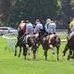 Warwick Farm Midweek event image
