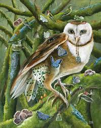 Www Thestorybookstudio Com Assets Aurella B Jpg Quirky Art Animal Art Animal Illustration
