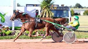 9 26 18 Vire Prix Credit Agricole Vire Normandie Groupe A Results And Reports