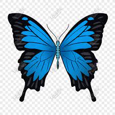 Carnatic bhajan | indian classical. Chinese Style Blue Butterfly Hand Painted Design Png Images Picture Free Download Lovepik