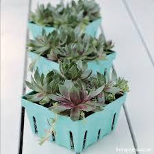 One of the best diy succulent planter ideas on the list! 15 Diy Succulent Planters How To Make A Succulent Planter