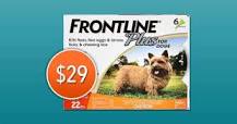 Image result for what time should i start applying topical flea treatment to my dog in minnesota