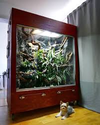 A huge Reptile Vivarium I made for my very special Blue Tree Monitors. :  r/reptiles