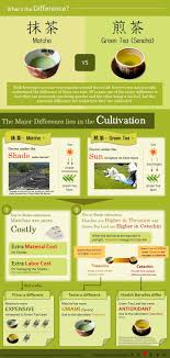Matcha Vs Green Tea Sencha Part 1 Infographics Shizen Tea Blog Green Tea Vs Coffee Matcha Vs Green Tea Matcha Green Tea Benefits