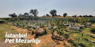 Istanbul Pet Mezarligi Istanbul Evcil Hayvan Mezarligi