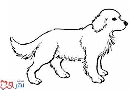 رسم و تلوين كلب للاطفال رسومات كلاب جاهزة للتلوين صور Dog Pictures To Color Dog Coloring Page Puppy Coloring Pages