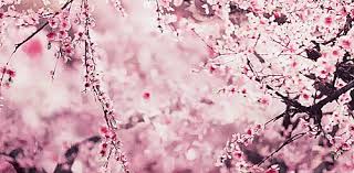 As we work with publishers & creators, we can tell them that readers like you do care and want to support the official content. Drama Review Three Lives Three Worlds Ten Miles Of Peach Blossoms Oh Press