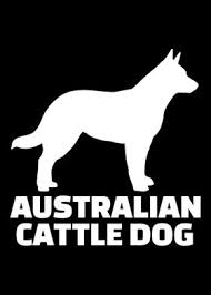 Metal dining table legs australian cattle puppies. Australian Cattle Dog Posters Art Prints Wall Art Displate