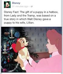 Cinderella Bippity Boppity Boo Meme Disney Fun Fact My Fav Movie As A Kid Lady And The Tramp Luv The Spaghetti Scene Ctc Disney Fun Facts Fun Facts Disney Fun