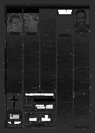 Florida Sentinel Bulletin, November 20, 2009