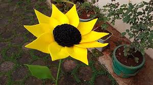 Ketinggian tanaman ini dapat mencapai 1 meter, sedangkan. How To Make Big Felt Sun Flowers Cara Membuat Bunga Matahari Flanel Ukuran Besar Youtube