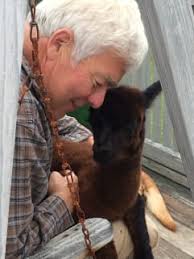 Stephen A. “Bumpa” Staples Obituary (1954