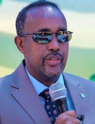 Wariye Abdi Nasir Mohamed Ali