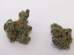 Arnica montana/camphor/convallaria majalis/crataegus laevigata whole/kalmia latifolia leaf/lachesis muta venom/nitroglycerin/selenicereus grandiflorus stem/spigelia anthelmia/tobacco leaf. Cactus Breath Why Colorado Tokers Love This Strain Westword