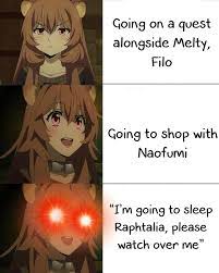Happy Raccoon Noises Shieldbro