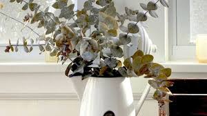 Check spelling or type a new query. How To Preserve Fresh Eucalyptus Sheri Silver Living A Well Tended Life At Any Age