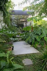 Jungle Design Garden Small Garden Gardendesign Urban Garden Modern Garden Jungle Gardens