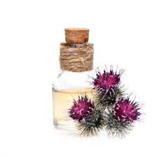 Как правильно принимать масло расторопши