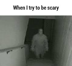 Pin On Funny Pics