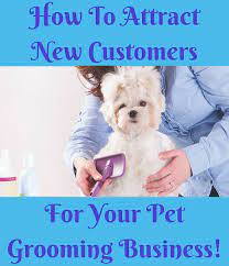 How Do Pet Groomers Attract New Customers Pet Grooming Business Dog Grooming Business Dog Grooming Shop