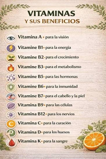 Si supieras todos los beneficios que hay al consumir vitamina C y complejo B ya los hubieras incluido en tu día a día ¡No esperas más! Pídelos en línea o desde la