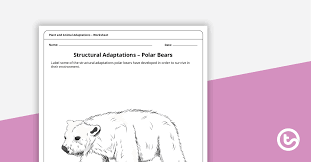 Worksheets are functions of animal adaptations, haleakal national park what is my adaptation, animal adaptations, animal habitats and animal adaptations, animal adaptations. Plant And Animal Adaptations Worksheet Pack Teaching Resource Teach Starter
