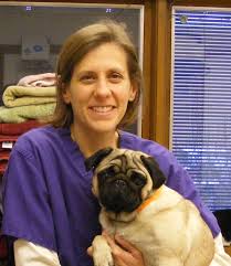 Pet cancer center comprehensive guide to cancer diagnosis and treatment in cats and dogs. Our Veterinary Team Dupage Animal Hospital