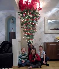 Cardiff Family Hang Christmas Tree From The Ceiling To Stop Cat Throughout Chr Christmas Tree Hanging From Ceiling Tree Branch Decor Upside Down Christmas Tree