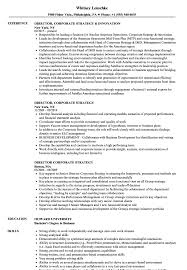director, corporate strategy resume
