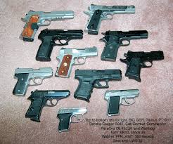 60 Expository Gun Size Comparison