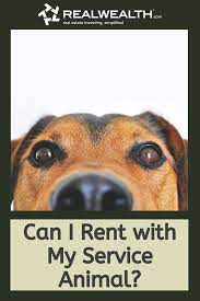 Podcast Article Property Management Guidelines On Animals Being A Landlord Psychiatric Service Dog Personal Finance Advice