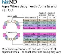 Come On Already Ages When Baby Teeth Come In And Fall Out