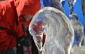 Soyez le premier à donner votre avis. Exposition La Feerie Glacee 15 Tonnes De Glace Maintenues A 6 C Sous Chapiteau A Besancon Macommune Info